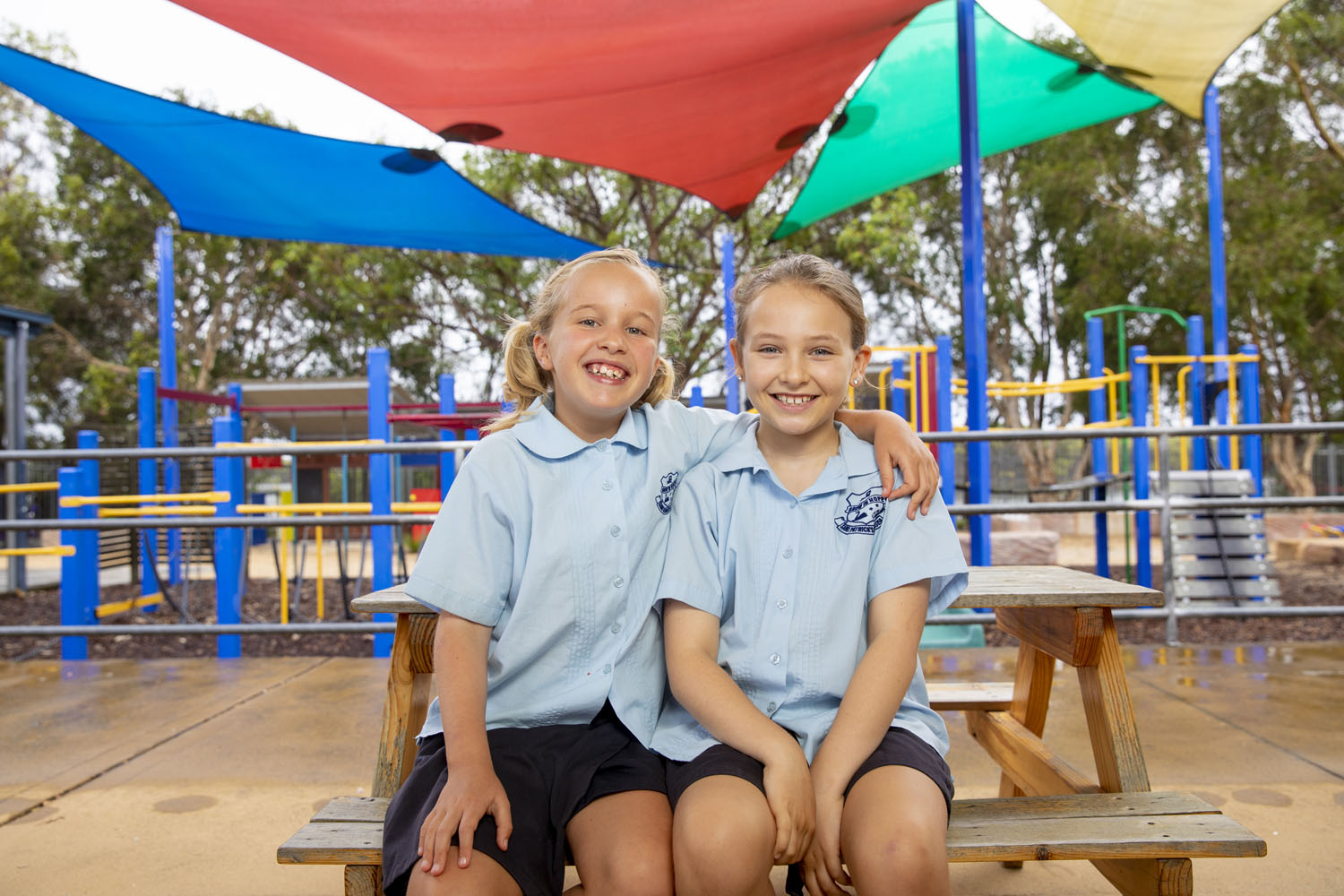 SWANSEA St Patrick's Primary School Hero Image